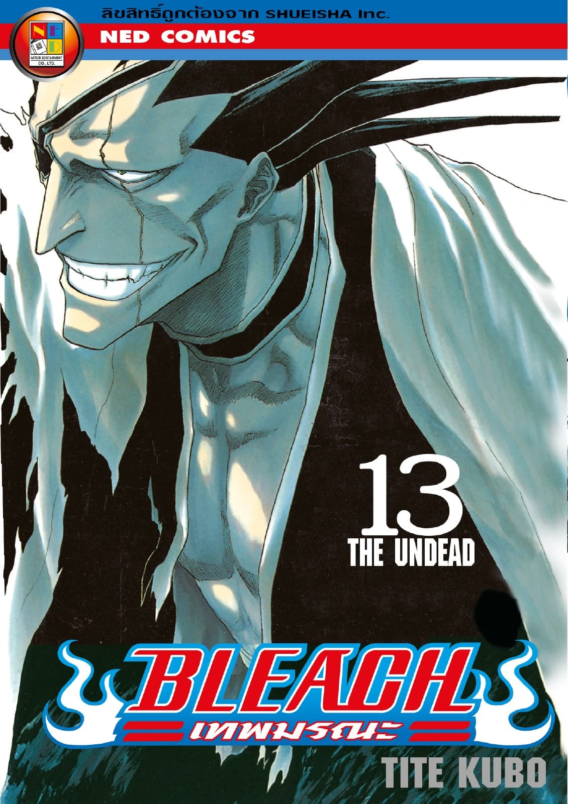 Bleach เทพมรณะ เล่ม 13