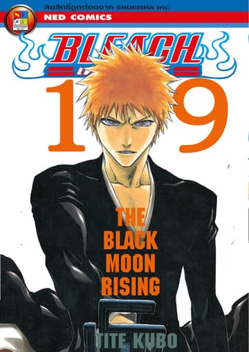 Bleach เทพมรณะ เล่ม 19
