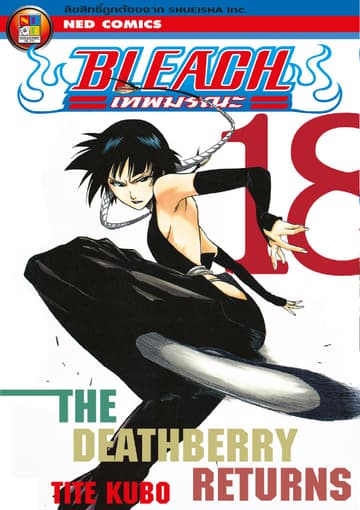 Bleach เทพมรณะ เล่ม 18