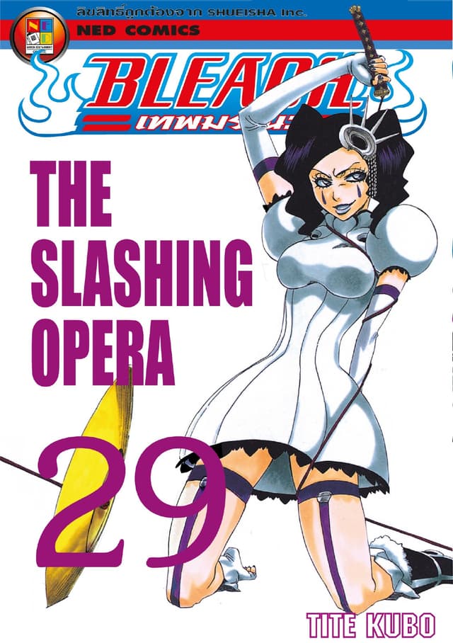 Bleach เทพมรณะ เล่ม 29