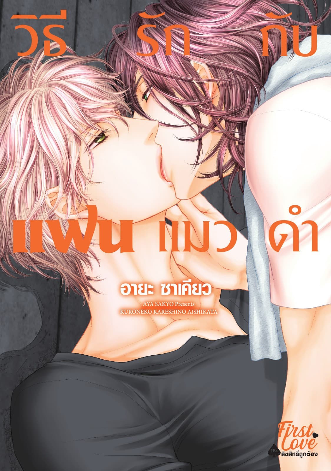 วิธีรักแฟนแมวดำ Volume 1