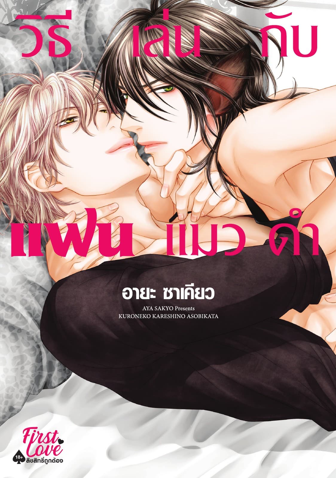 วิธีเล่นกับแฟนแมวดำ