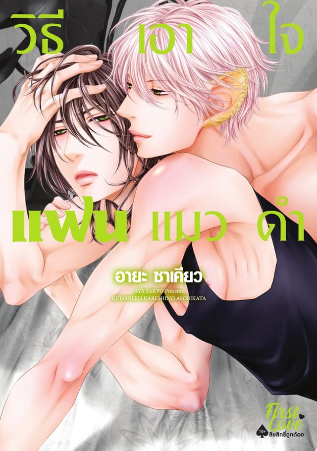 วิธีเอาใจแฟนแมวดำ