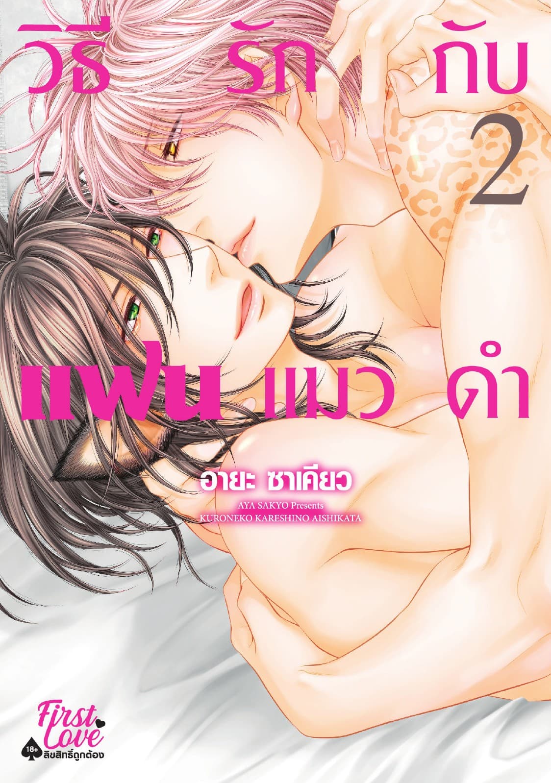 วิธีรักแฟนแมวดำ Volume 2