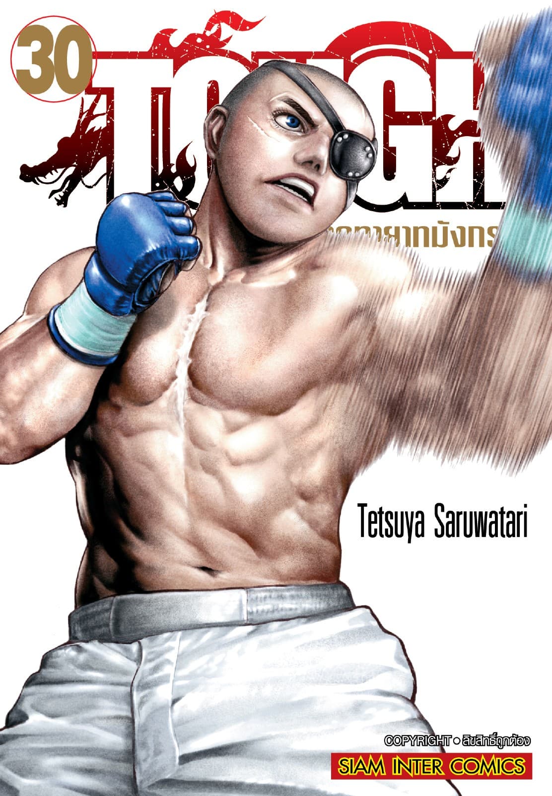 TOUGH ภาค ทายาทมังกร เล่ม 30