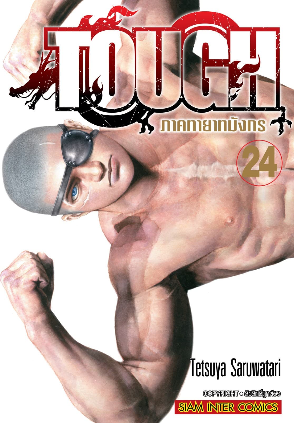 TOUGH ภาค ทายาทมังกร เล่ม 24