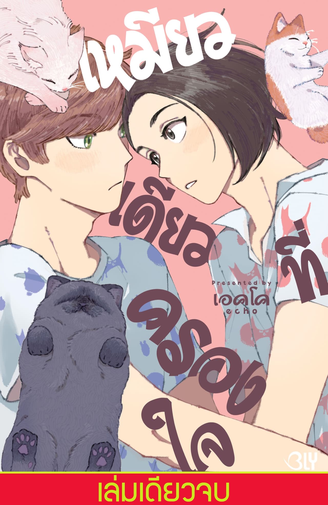 เหมียวเดียวที่ครองใจ (เล่มเดียวจบ)