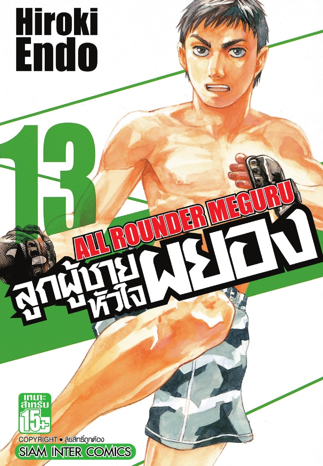 ลูกผู้ชายหัวใจผยอง เล่ม 13