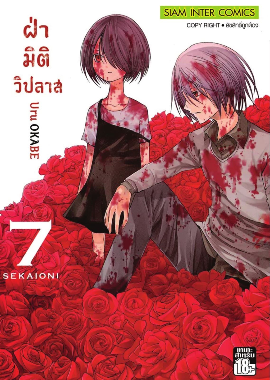 ฝ่ามิติวิปลาส เล่ม 07
