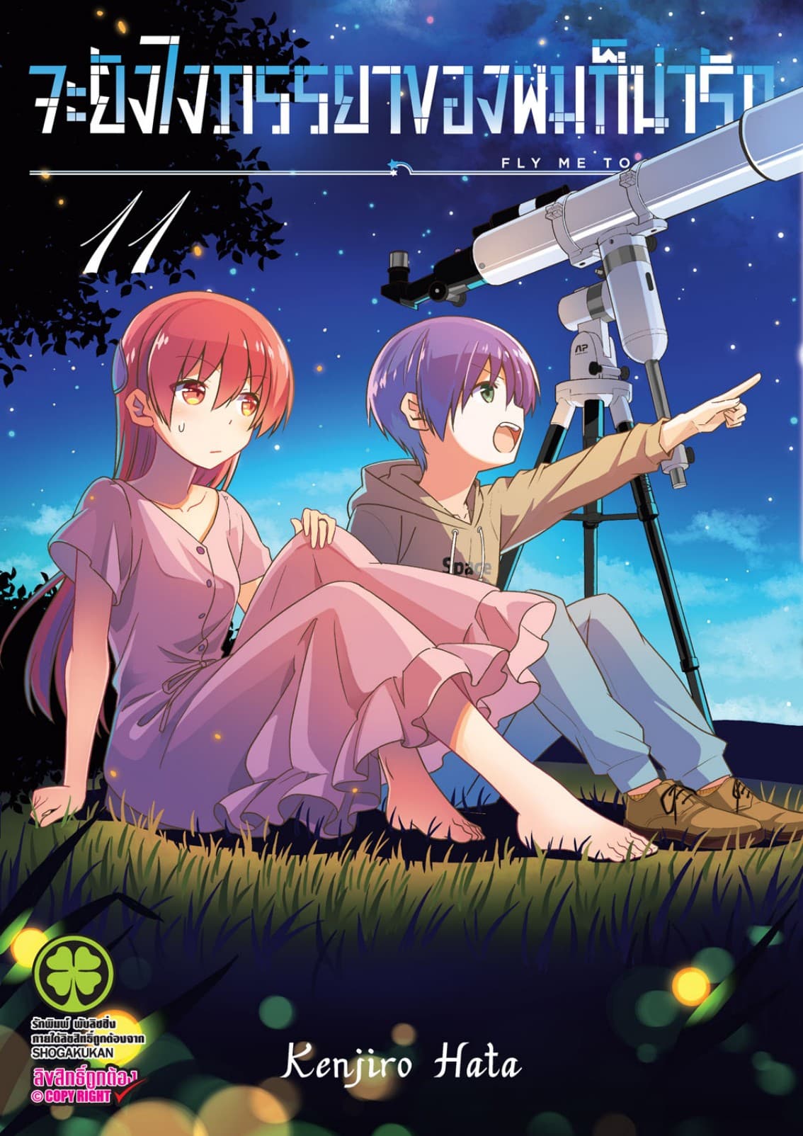 จะยังไงภรรยาของผมก็น่ารัก เล่ม 11