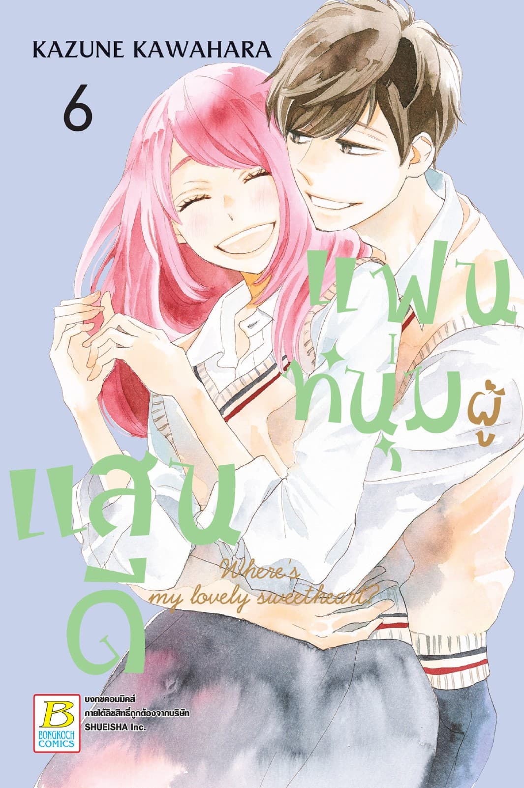 แฟนหนุ่มผู้แสนดี 6