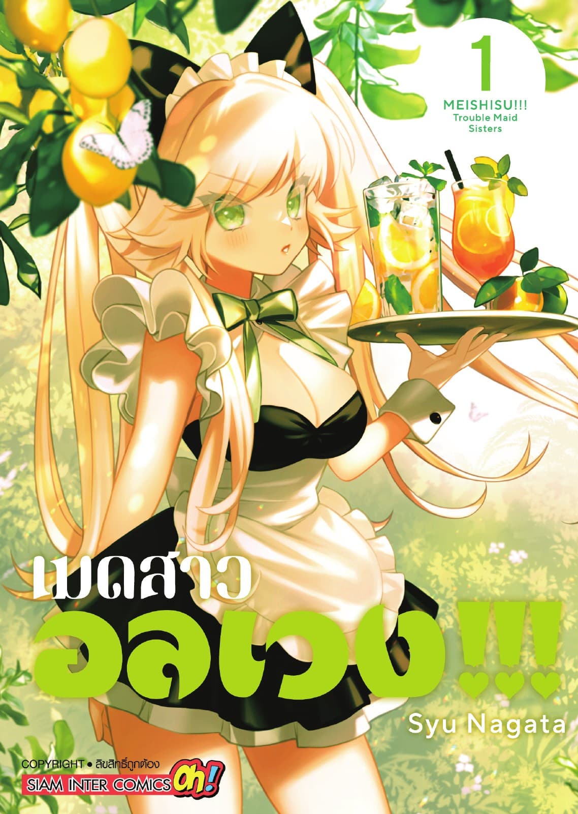 เมดสาวอลเวง!!! เล่ม 01