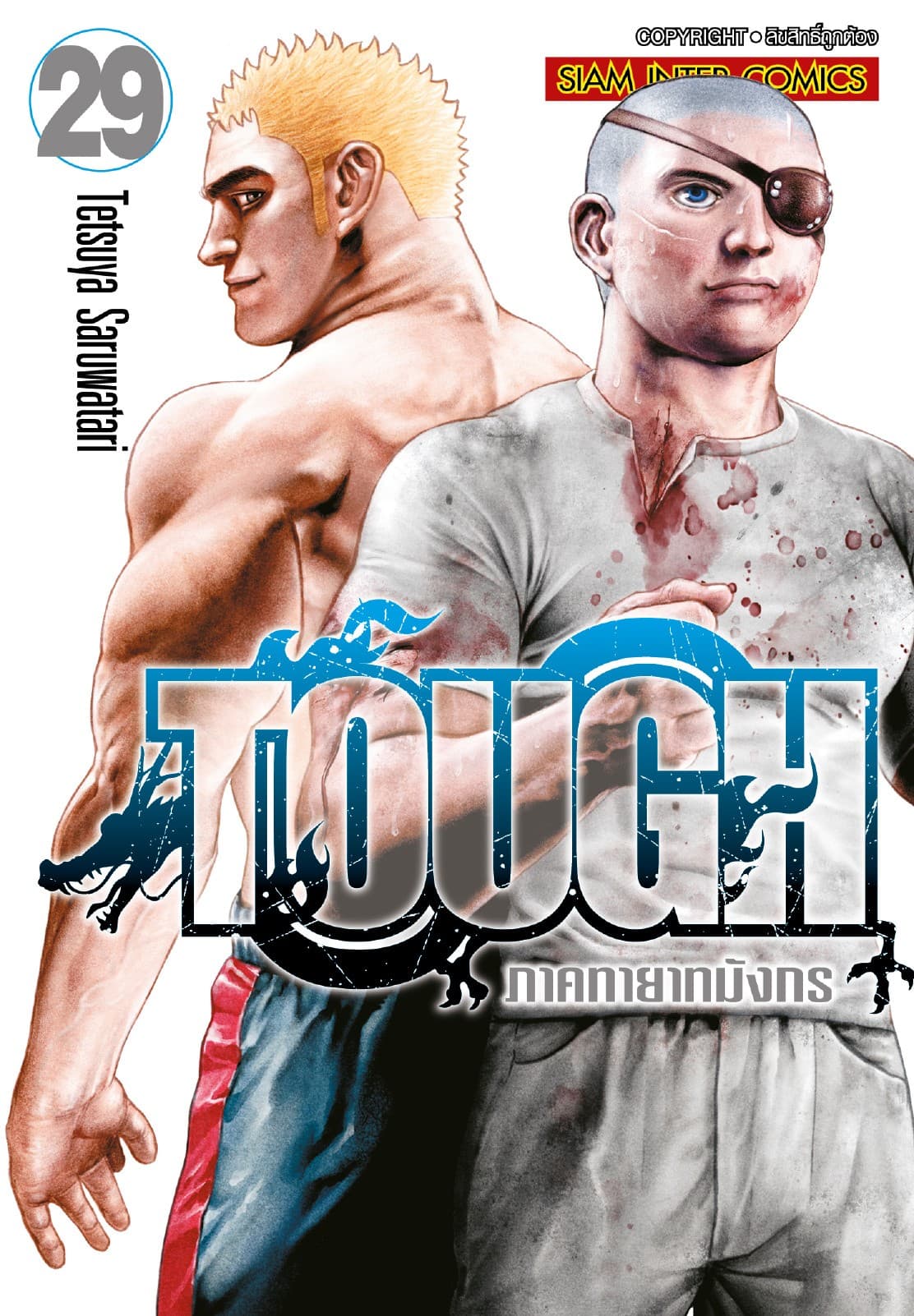 TOUGH ภาค ทายาทมังกร เล่ม 29