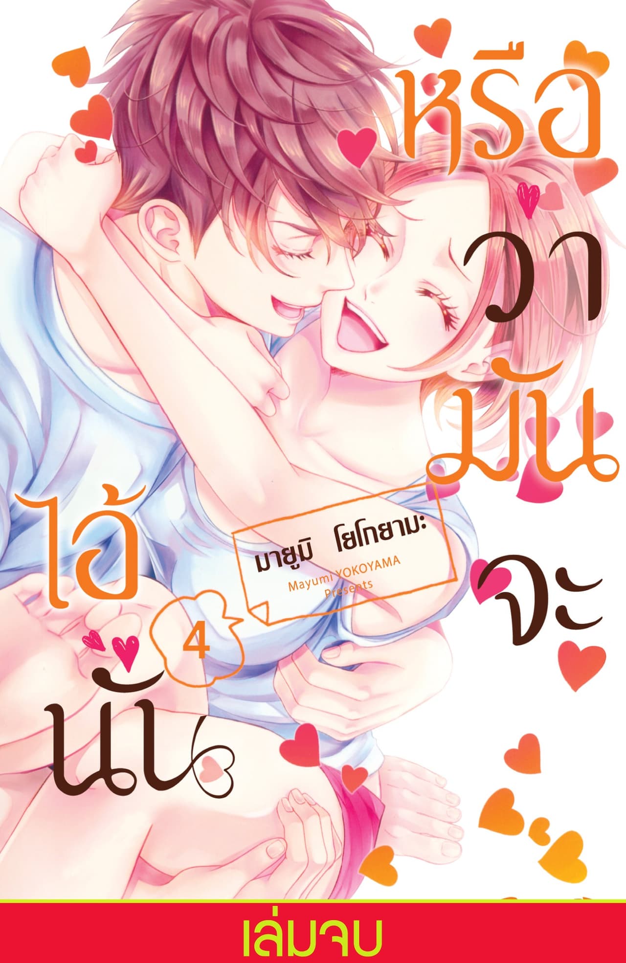 หรือว่ามันจะไอ้นั่น 4 (เล่มจบ)