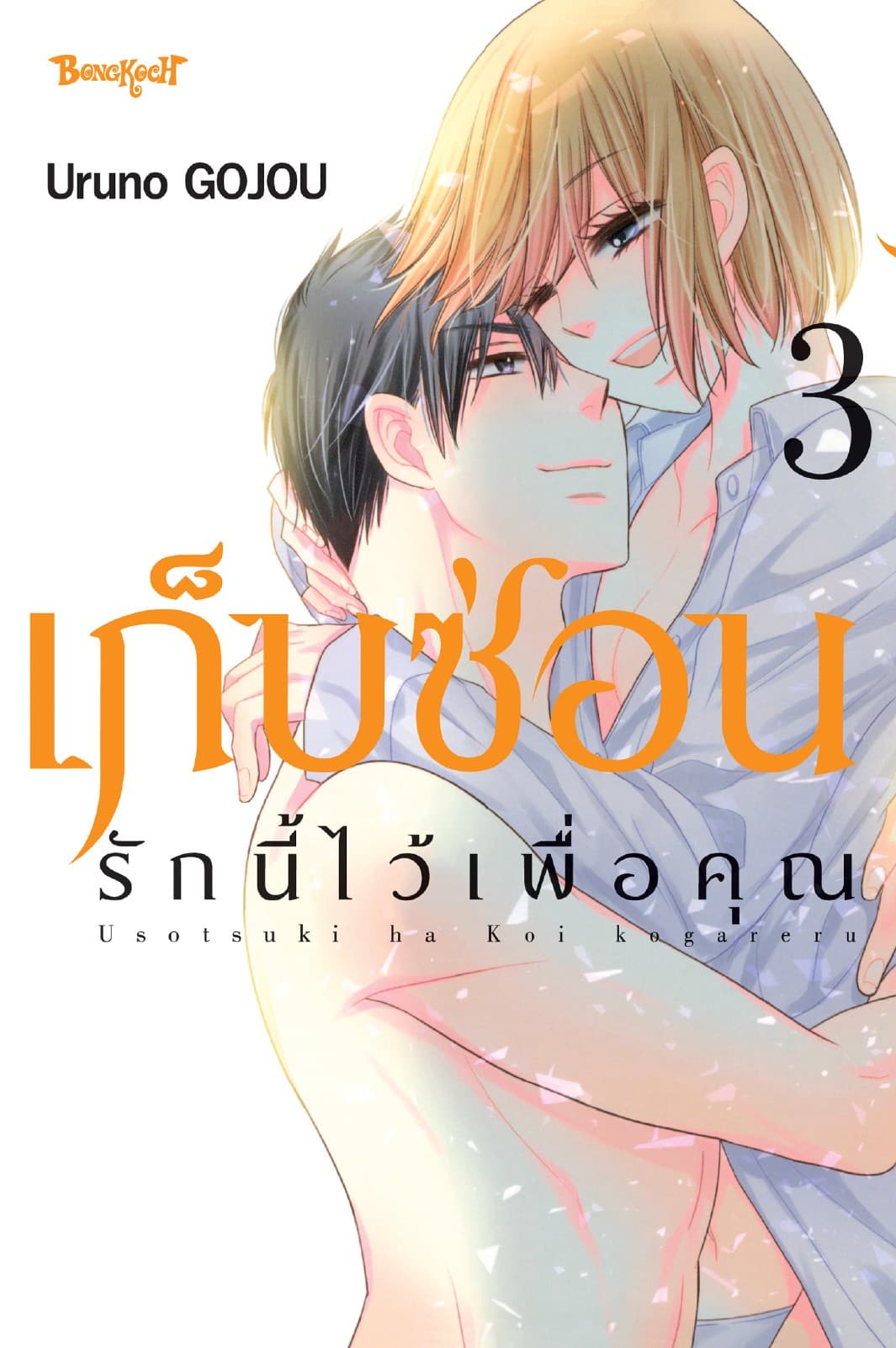 เก็บซ่อนรักนี้ไว้เพื่อคุณ 3
