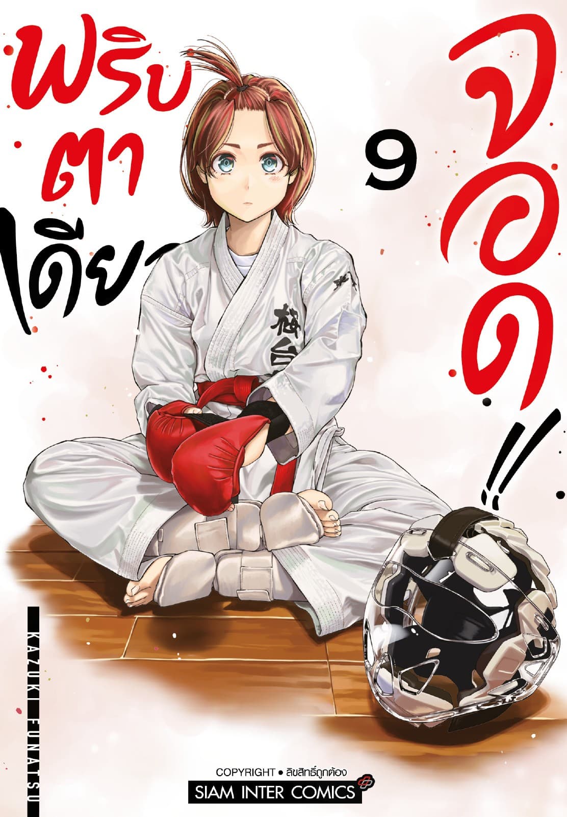 MABATAKI YORI HAYAKU!! พริบตาเดียวจอด เล่ม 09
