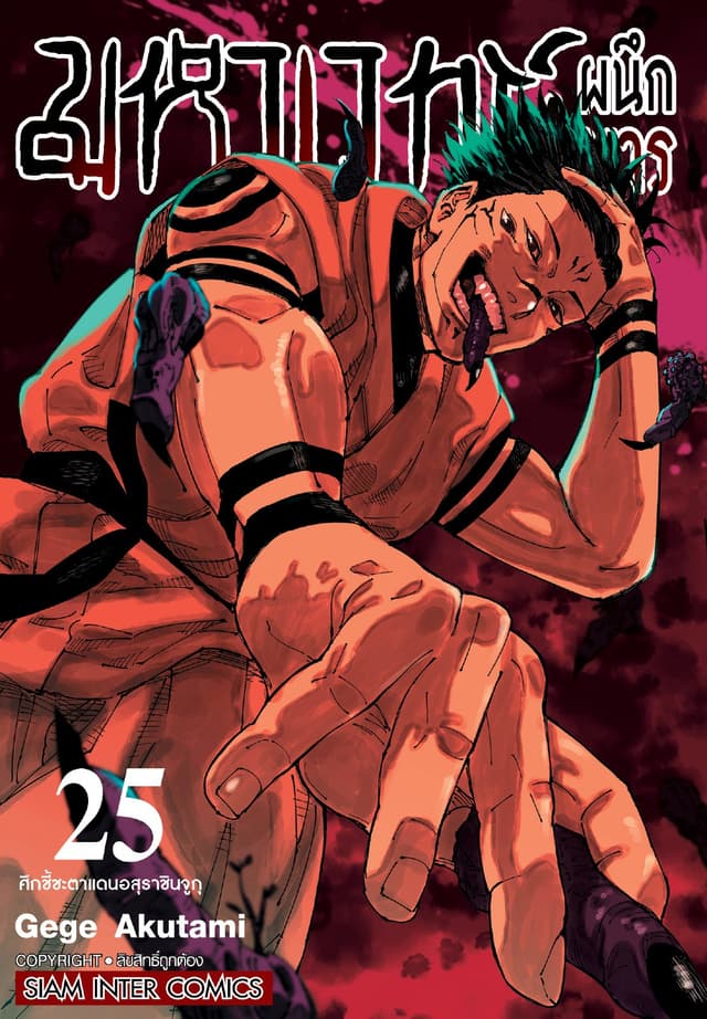 มหาเวทย์ผนึกมาร เล่ม 25 - ศึกชี้ชะตาแดนอสุราชินจูกุ