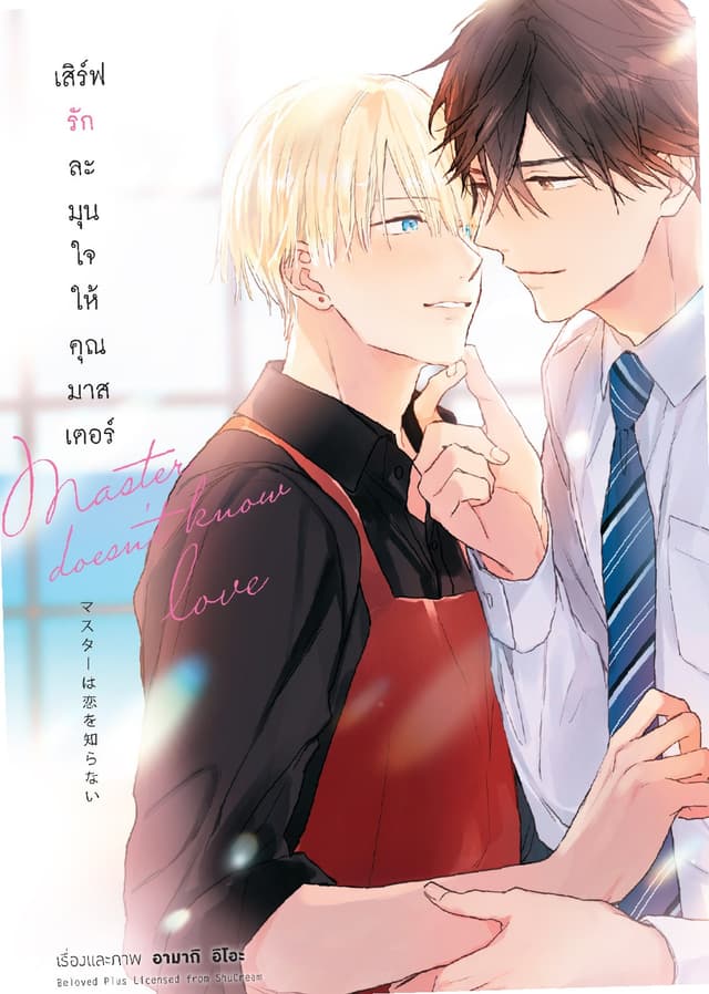 เสิร์ฟรักละมุนใจให้คุณมาสเตอร์ (เล่มเดียวจบ)