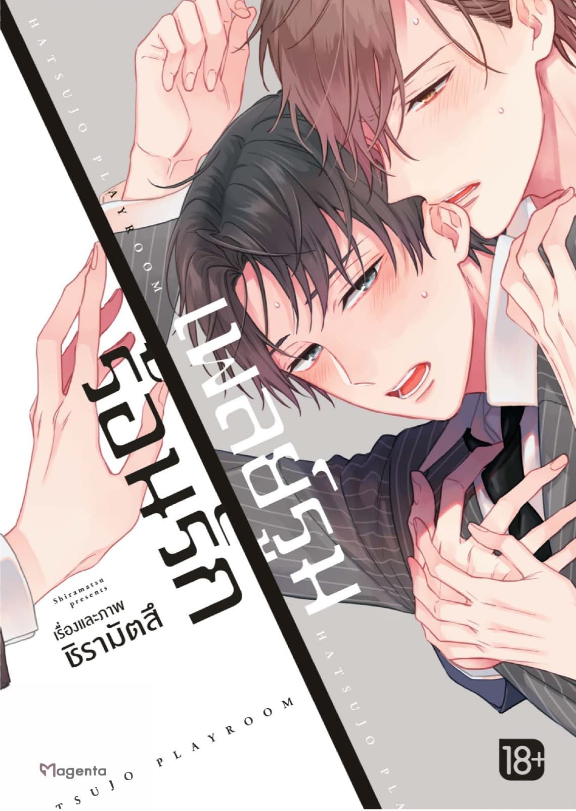 เพลย์รูมร้อนรัก (การ์ตูน)