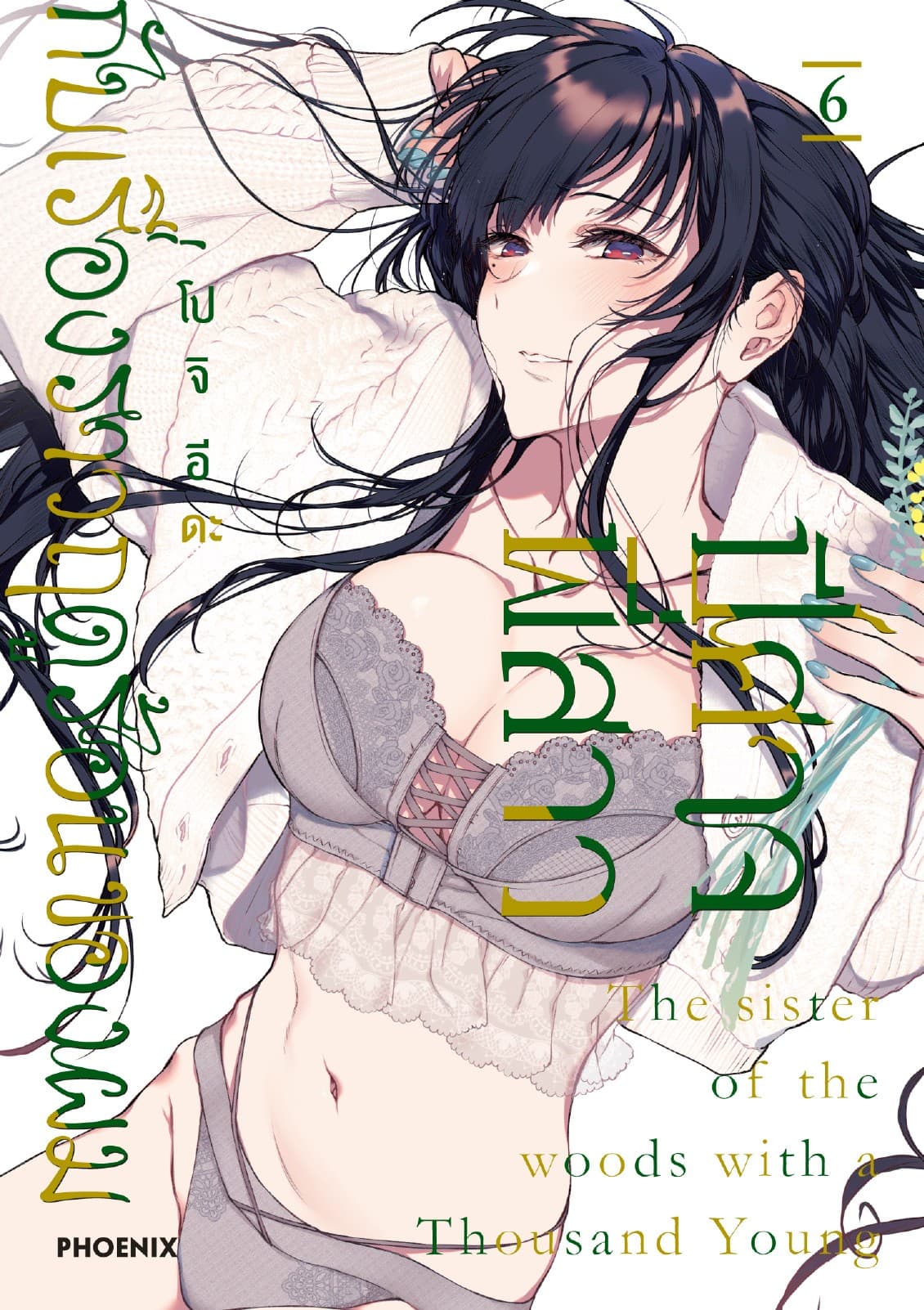 ปีศาจ พี่สาว กับเรื่องราวฤดูร้อนของผม เล่ม 6