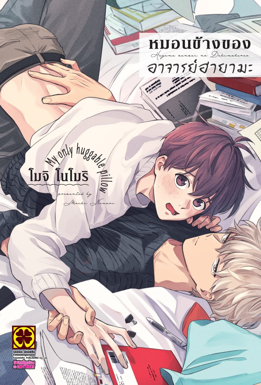 หมอนข้างของอาจารย์ฮายามะ (เล่มเดียวจบ)