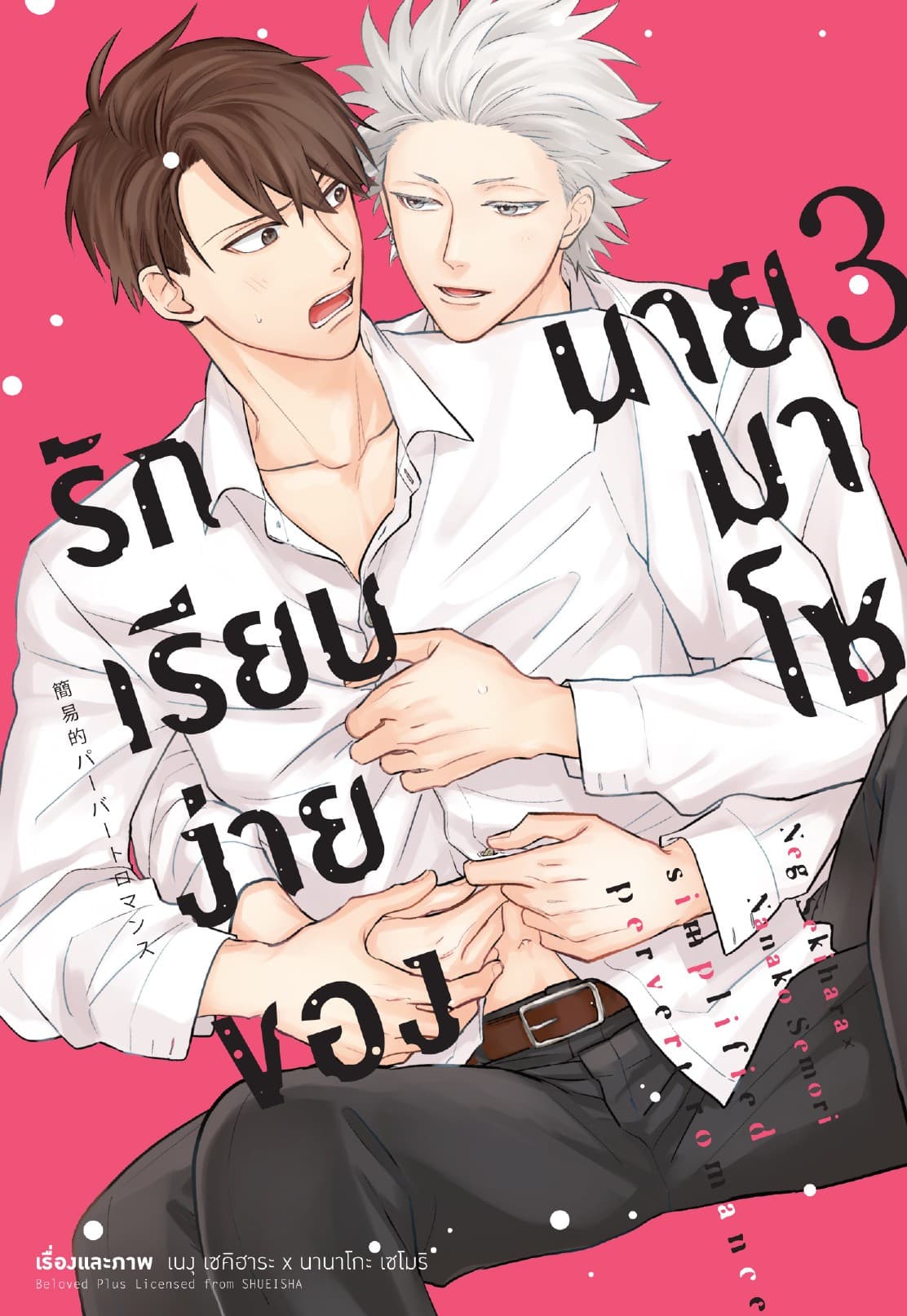 รักเรียบง่ายของนายมาโซ เล่ม 3