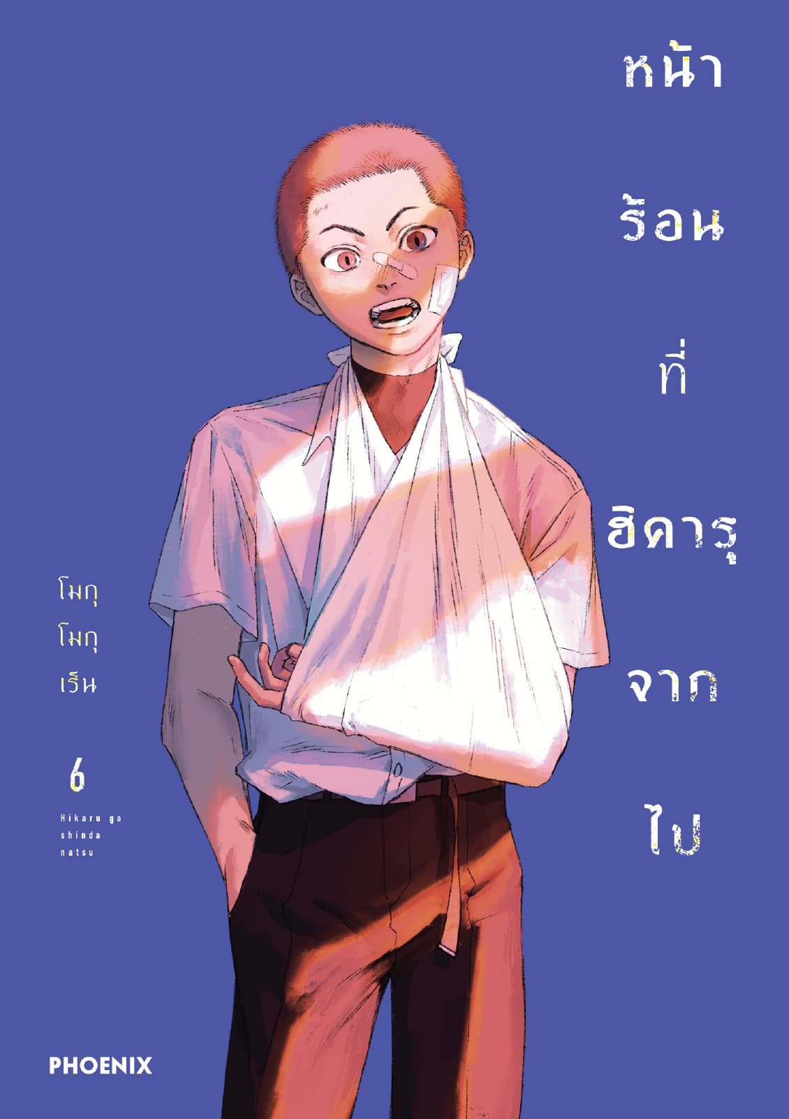 หน้าร้อนที่ฮิคารุจากไป (การ์ตูน) เล่ม 6