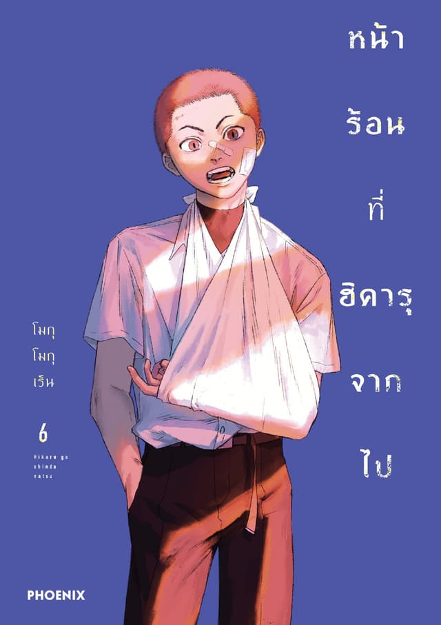หน้าร้อนที่ฮิคารุจากไป (การ์ตูน) เล่ม 6