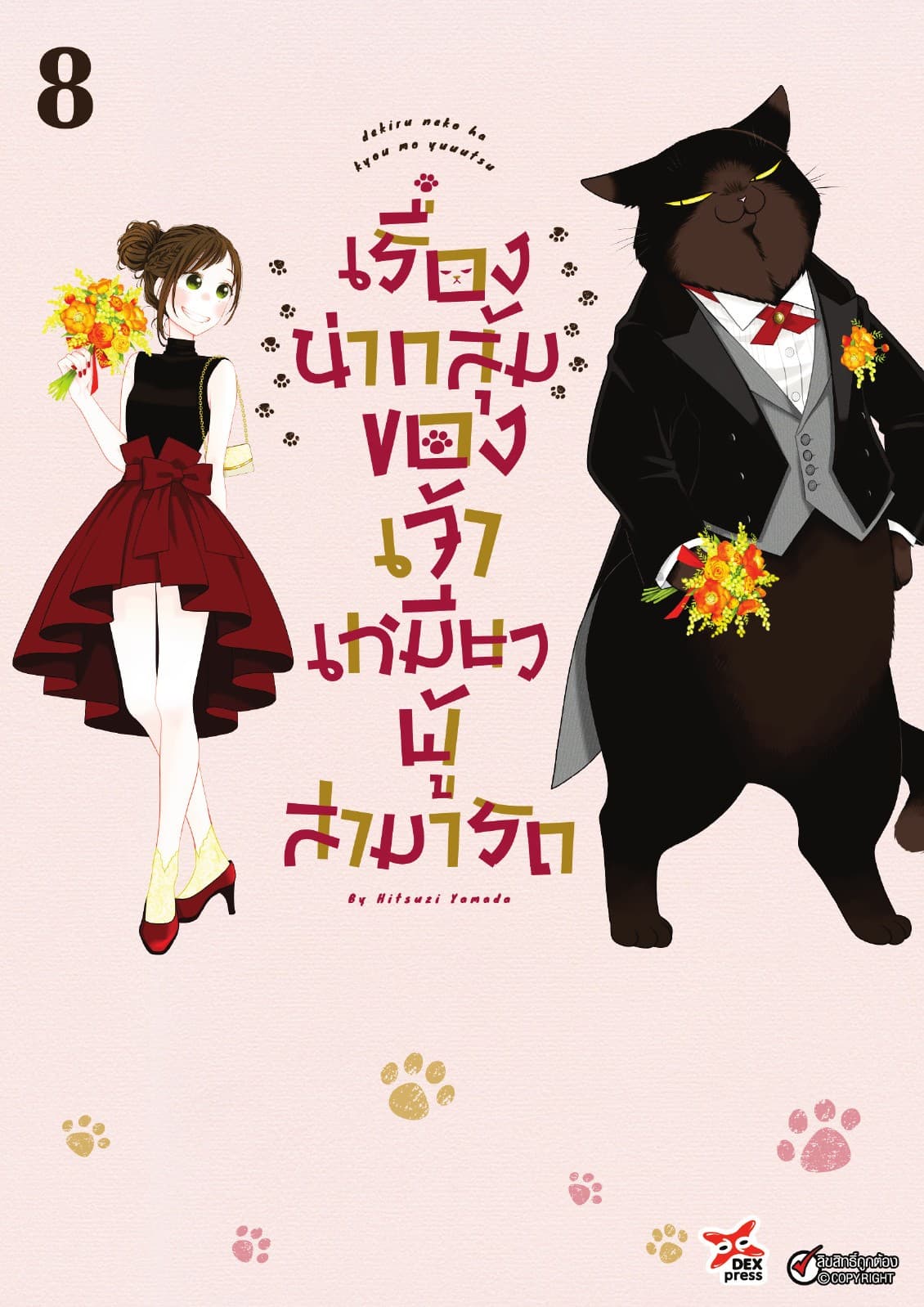 เรื่องน่ากลุ้มของเจ้าเหมียวผู้สามารถ เล่ม 8