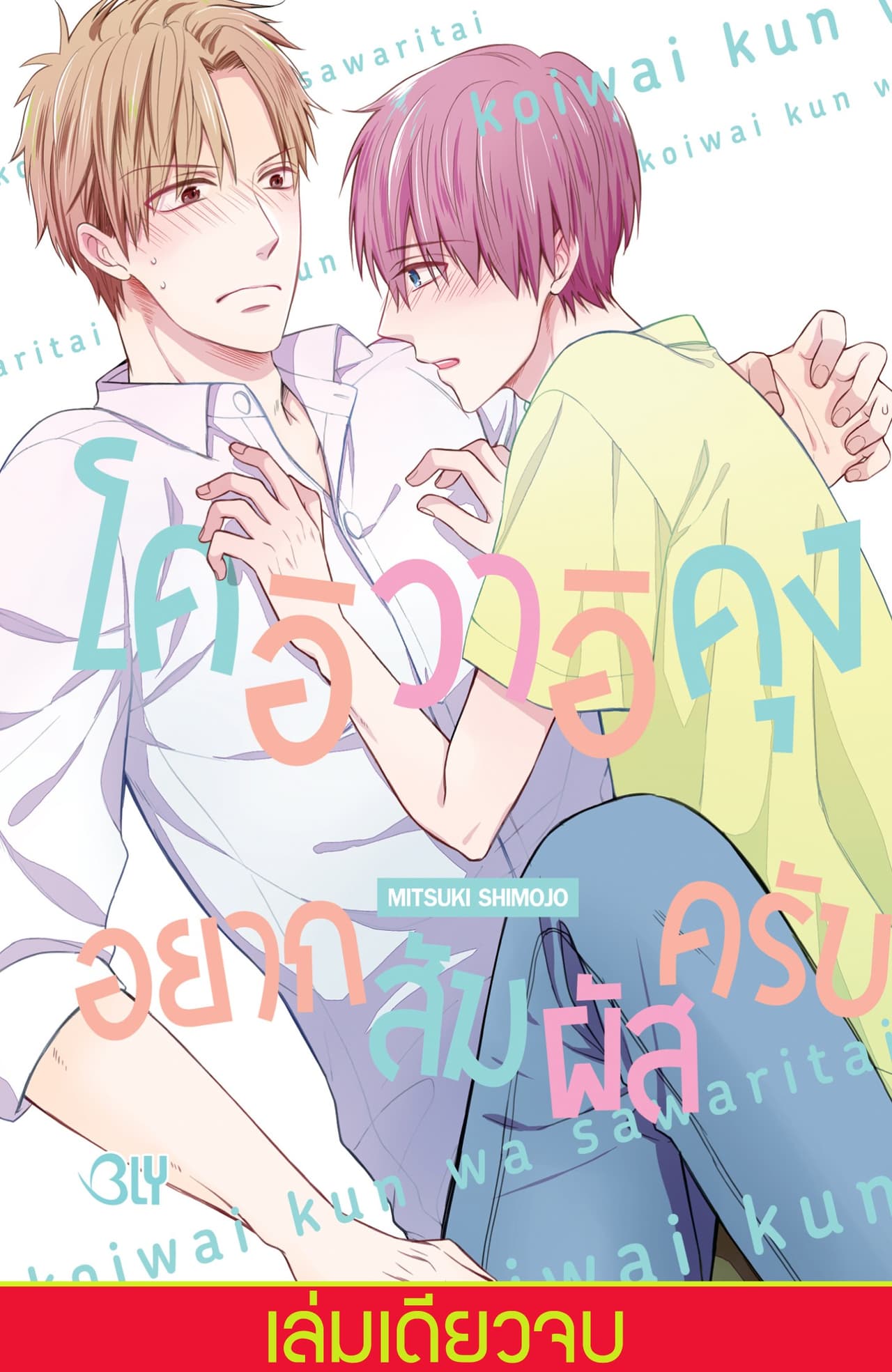 โคอิวาอิคุง อยากสัมผัสครับ (เล่มเดียวจบ)