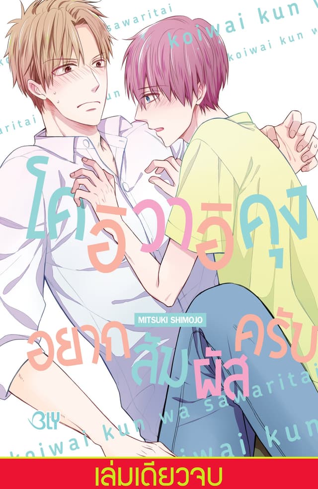 โคอิวาอิคุง อยากสัมผัสครับ (เล่มเดียวจบ)