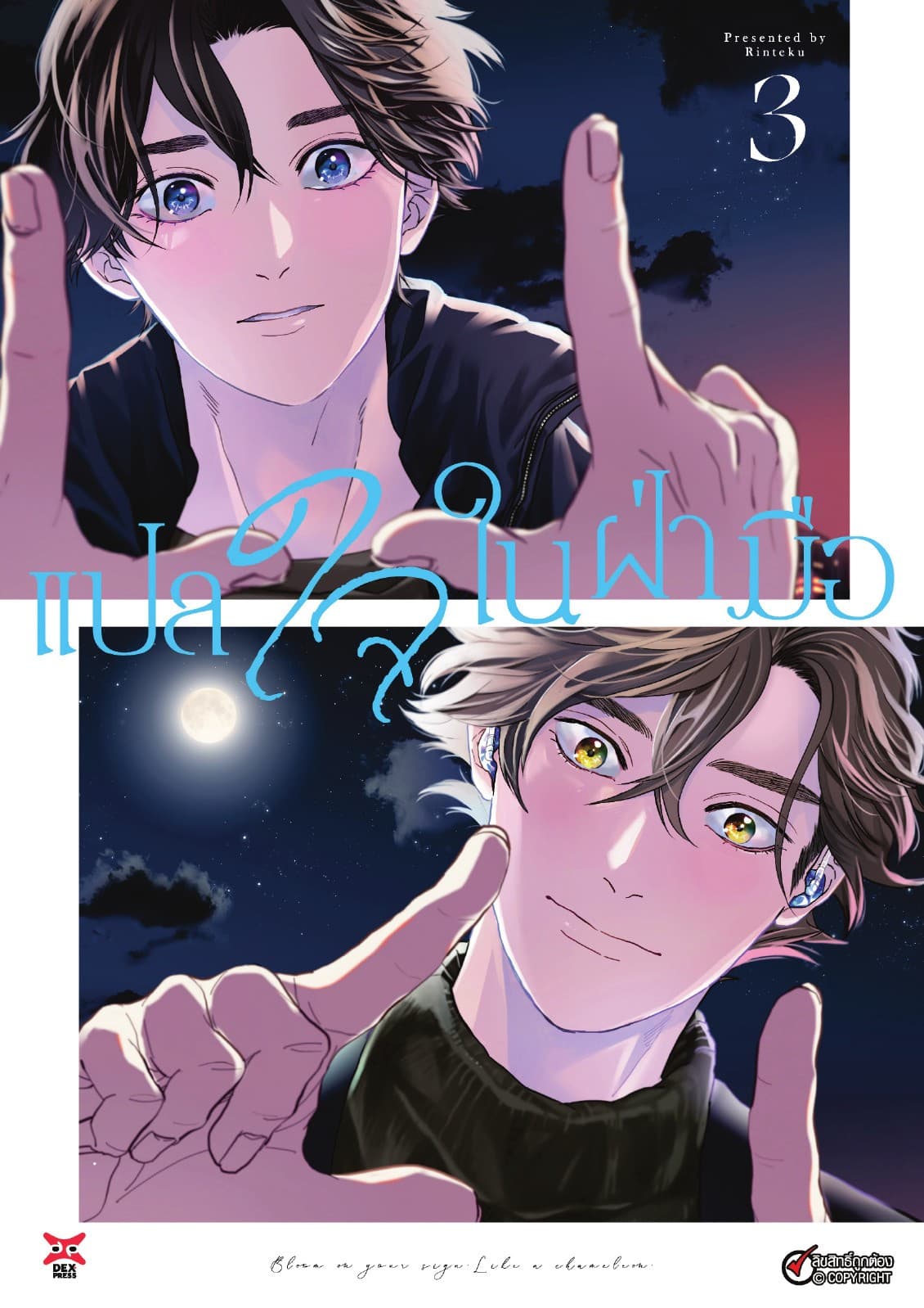 แปลใจในฝ่ามือ เล่ม 3