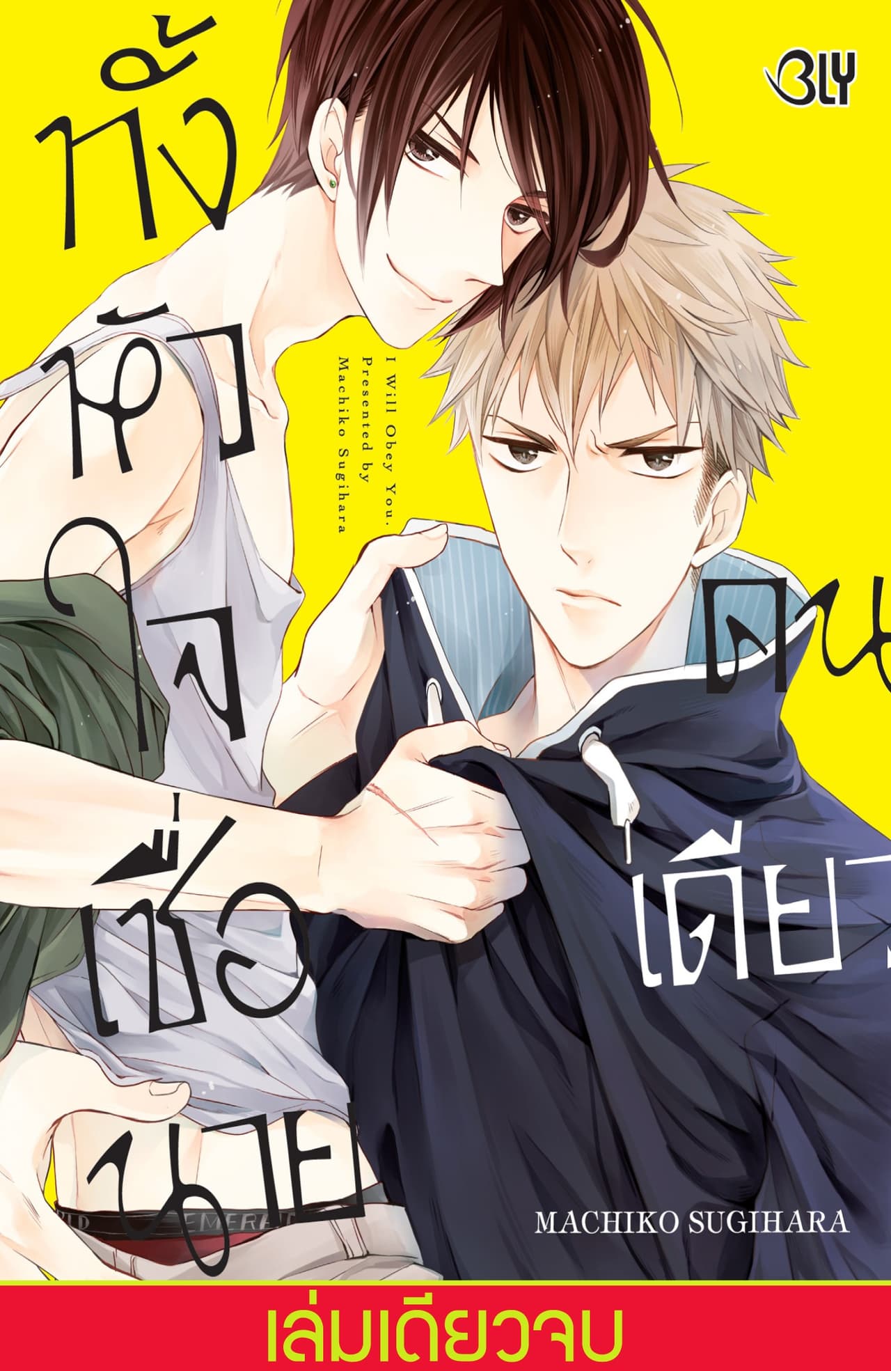 ทั้งหัวใจเชื่อนายคนเดียว (เล่มเดียวจบ)