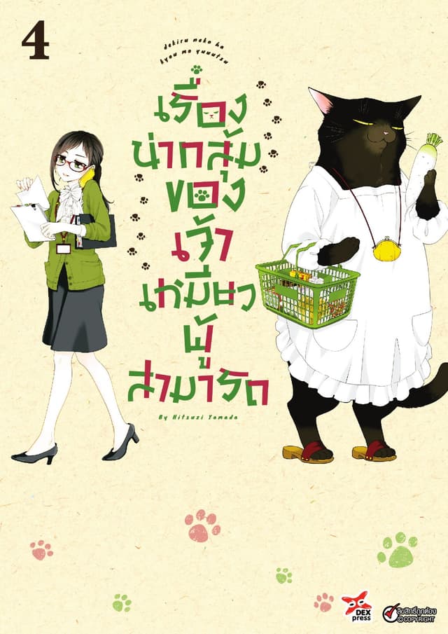 เรื่องน่ากลุ้มของเจ้าเหมียวผู้สามารถ เล่ม 4