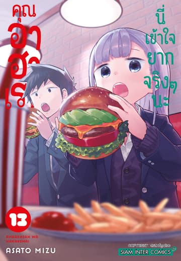 คุณ อาฮาเรน นี่เข้าใจยากจริงๆ นะ เล่ม 13