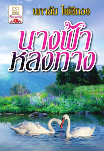 นางฟ้าหลงทาง