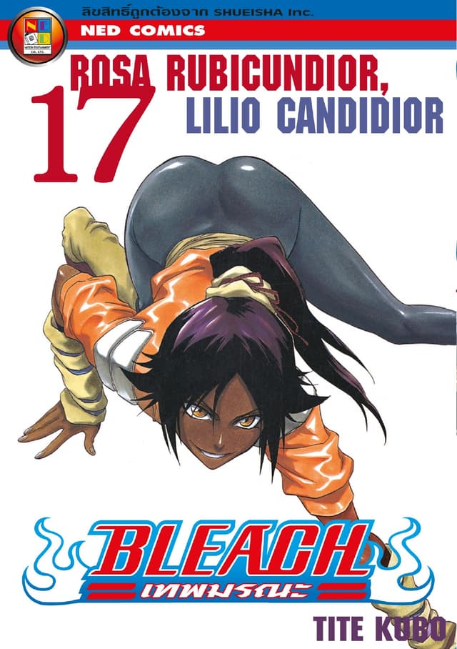 Bleach เทพมรณะ เล่ม 17