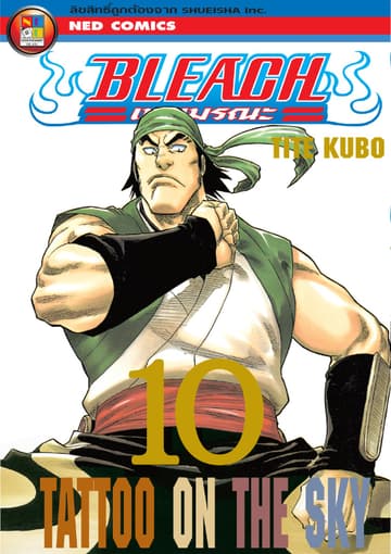 Bleach เทพมรณะ เล่ม 10