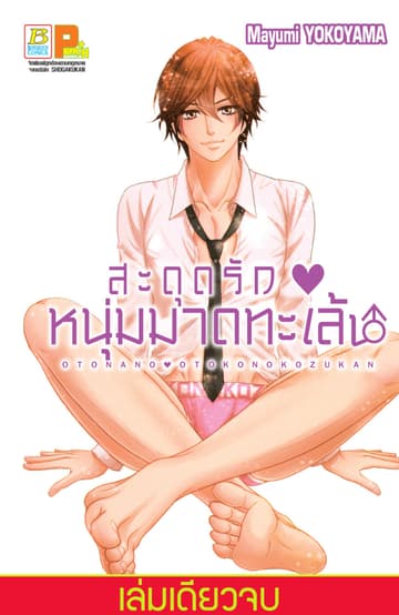 สะดุดรัก ♥ หนุ่มมาดทะเล้น (เล่มเดียวจบ)