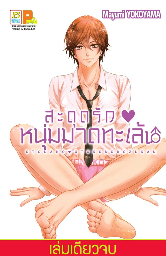 สะดุดรัก ♥ หนุ่มมาดทะเล้น (เล่มเดียวจบ)